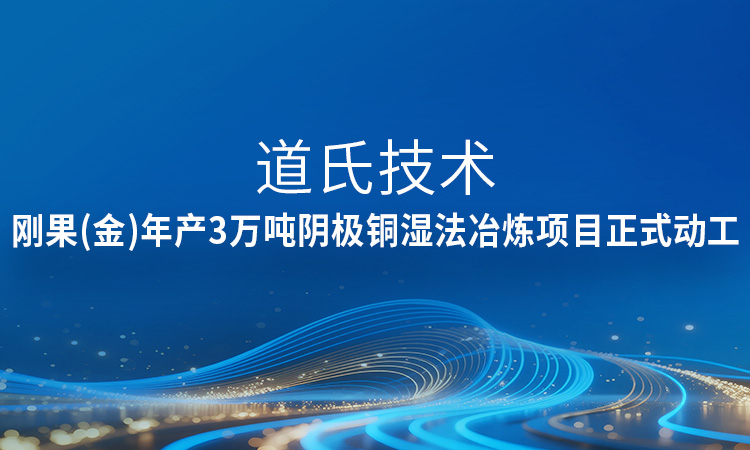 新进展！97916娱乐电子游戏技术刚果（金）年产3万吨阴极铜湿法冶炼项目正式动工